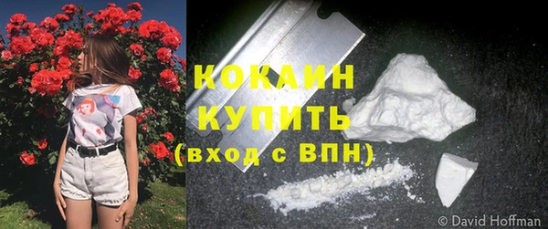 стаф Приозерск