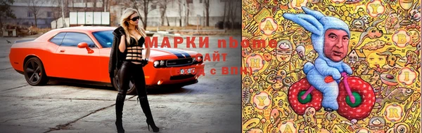 стаф Приозерск