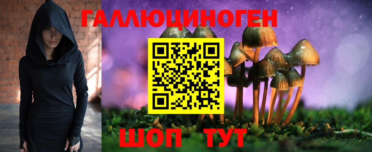 Псилоцибиновые грибы мицелий Россошь