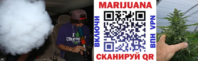 как найти   Россошь  Конопля гибрид 